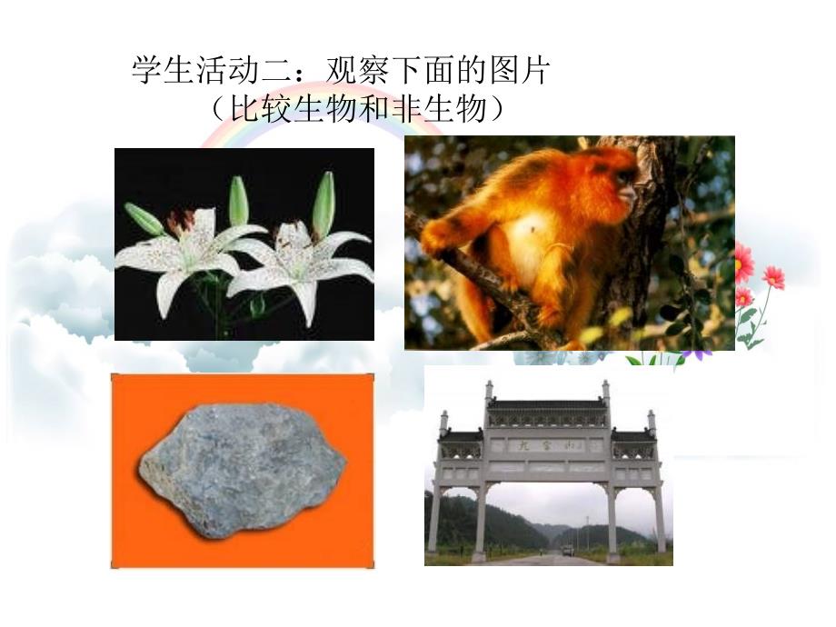 11生物的基本特征_第3页