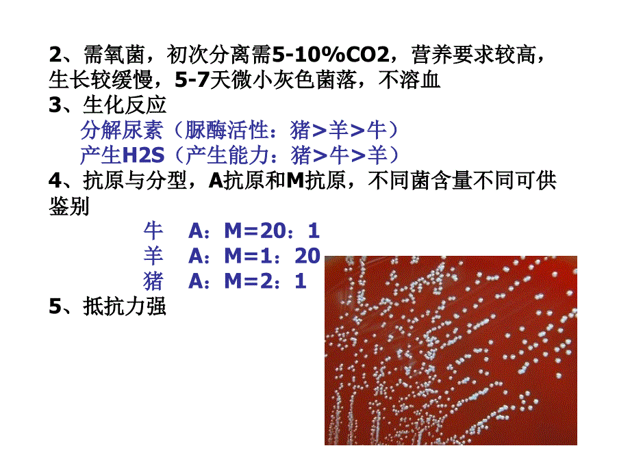 微生物动物源性细菌_第4页