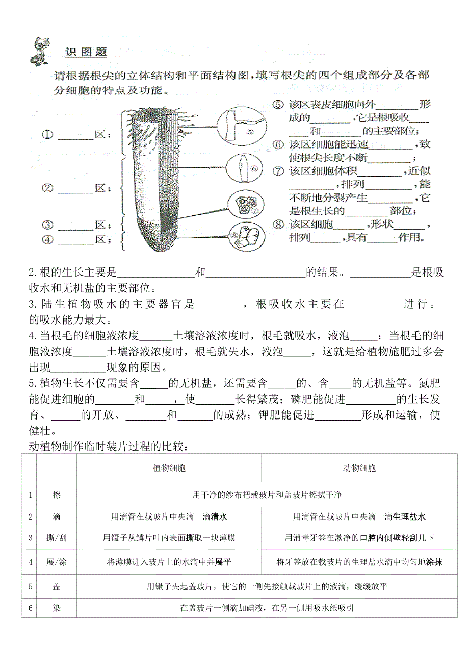 苏教版初一生物知识点总结_第4页