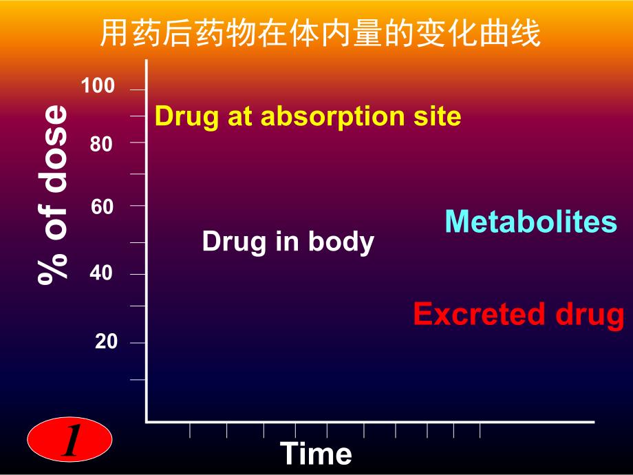 第三章中药药动学_第3页