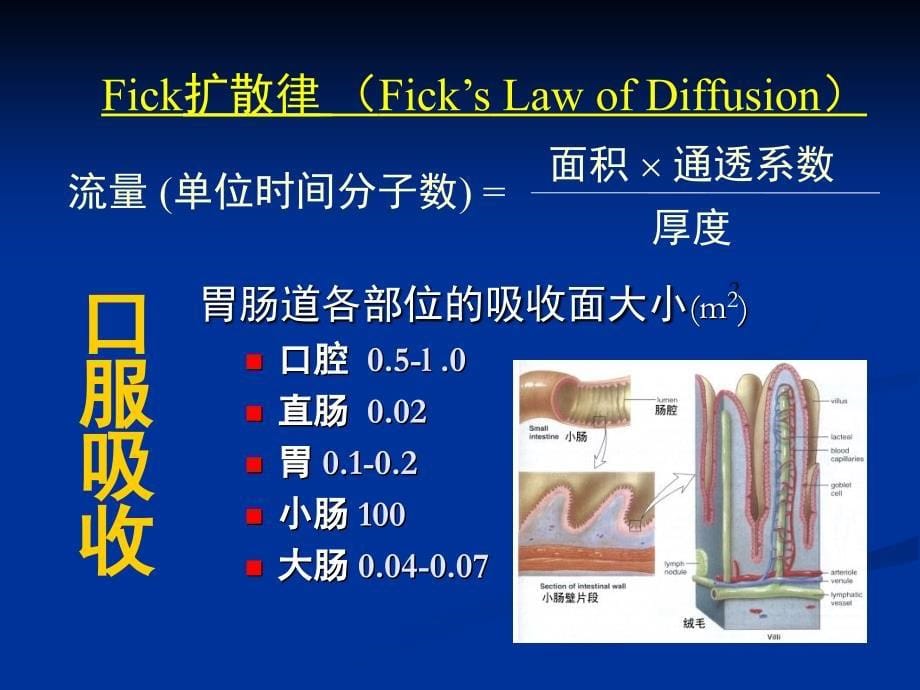 第三章中药药动学_第5页