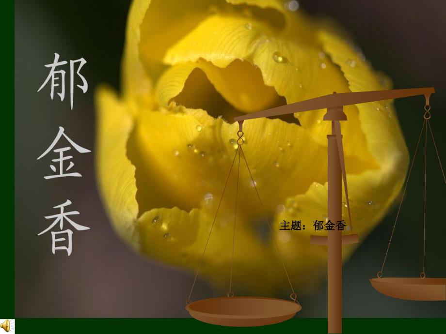 我喜欢的花郁金香课件_第1页