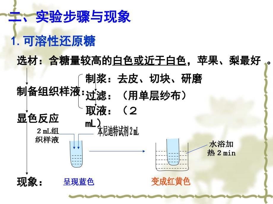 实验一还原糖脂肪蛋白质DNARNA鉴定_第5页