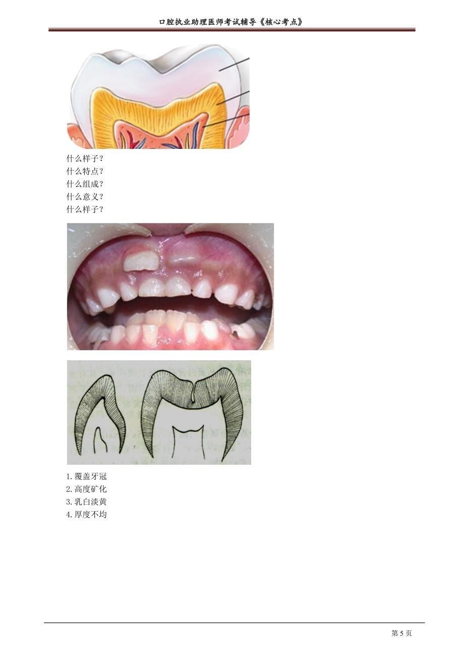 2021年口腔助理医师讲义之口腔组织病理学_第5页