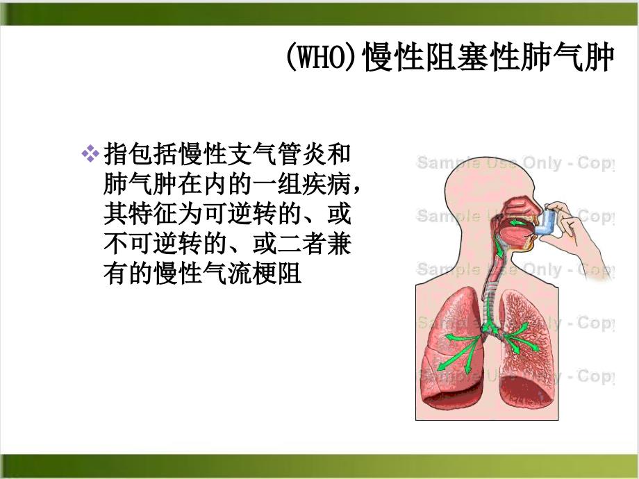 慢阻肺肿瘤病人的家庭护理和管理社区护理学课件_第4页