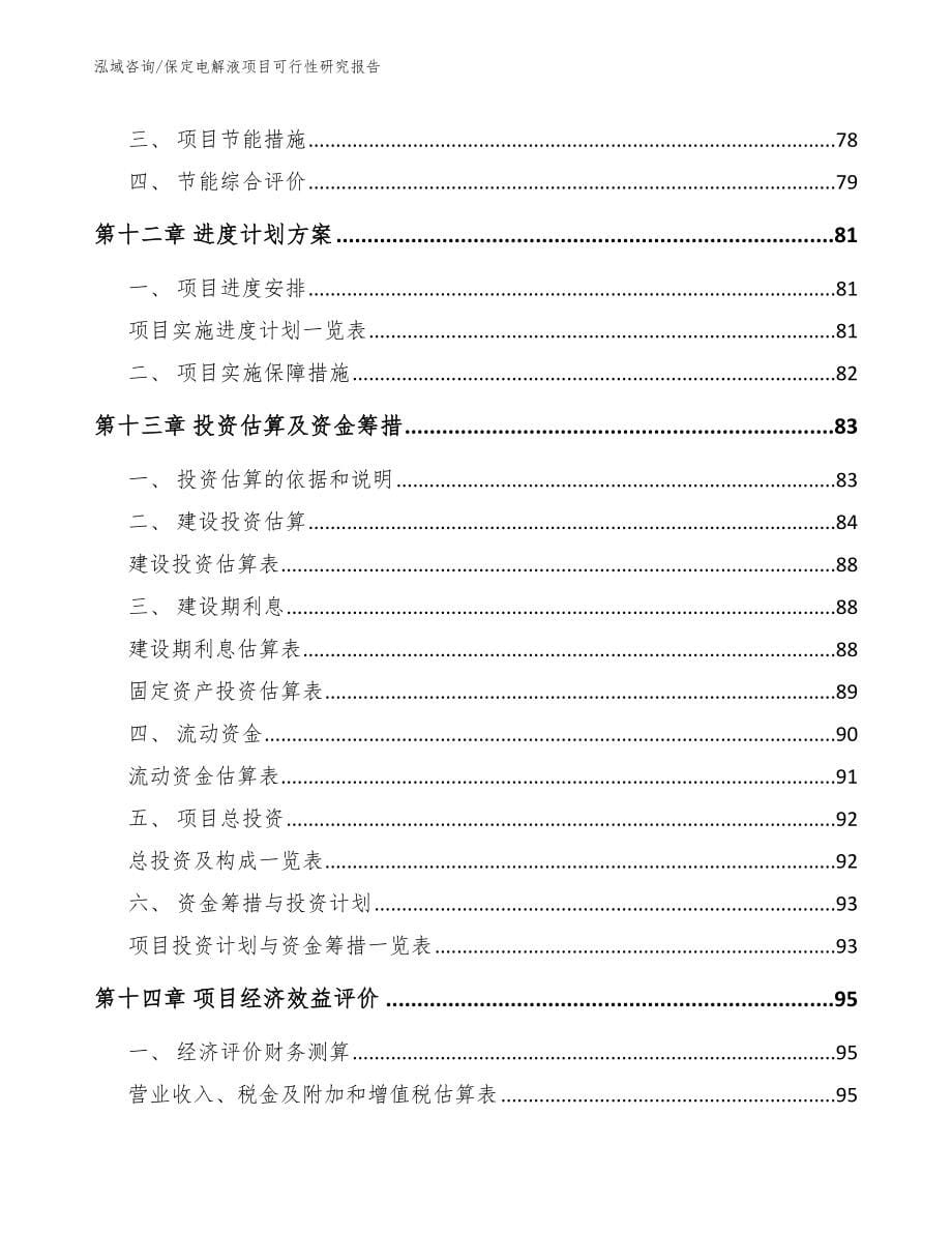 保定电解液项目可行性研究报告_第5页