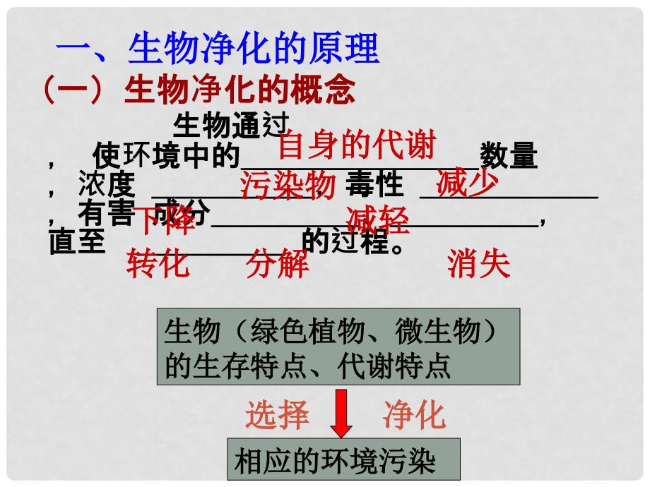 高中生物：4.2《生物净化的原理及其应用》课件（2）新人教版选修2_第3页