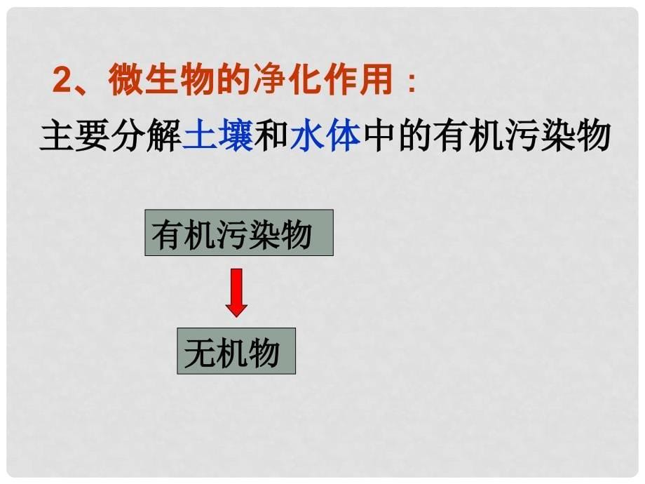 高中生物：4.2《生物净化的原理及其应用》课件（2）新人教版选修2_第5页