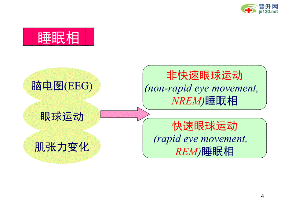 晋升必备资料含临床医学专家教授类课件57_第4页