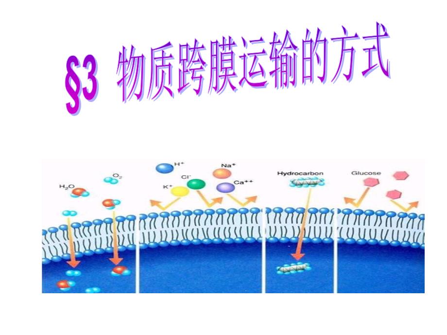 物质跨膜运输的方式_第1页