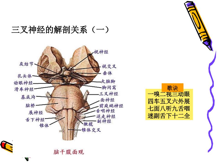 三叉神经痛的治疗与护理文档资料_第3页