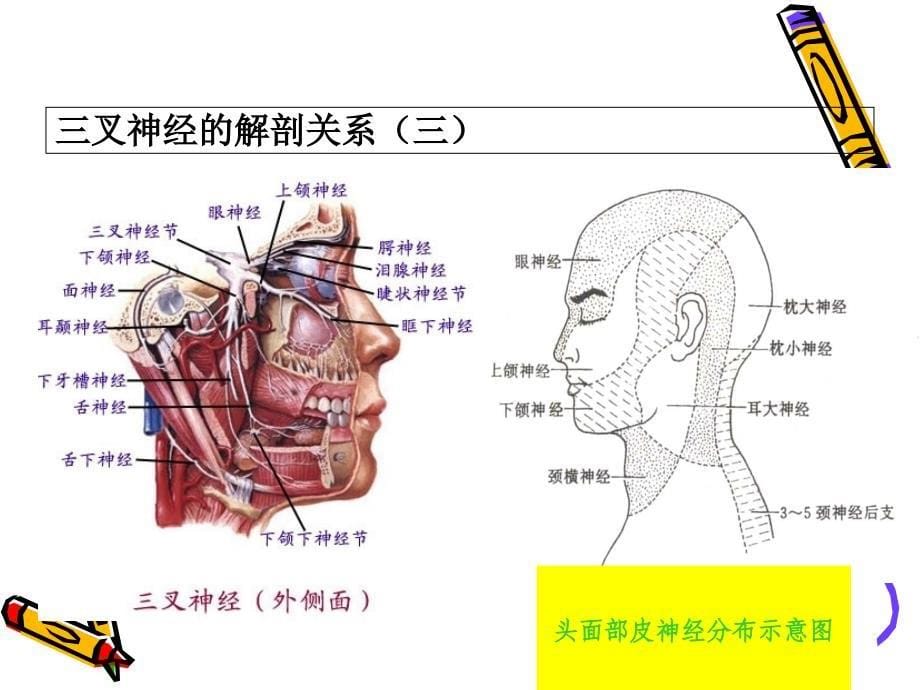 三叉神经痛的治疗与护理文档资料_第5页