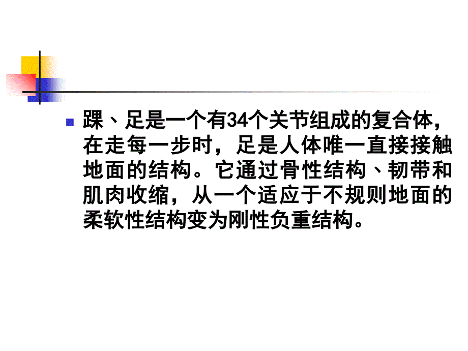 常见踝﹑足跑步损伤的康复课件_第2页