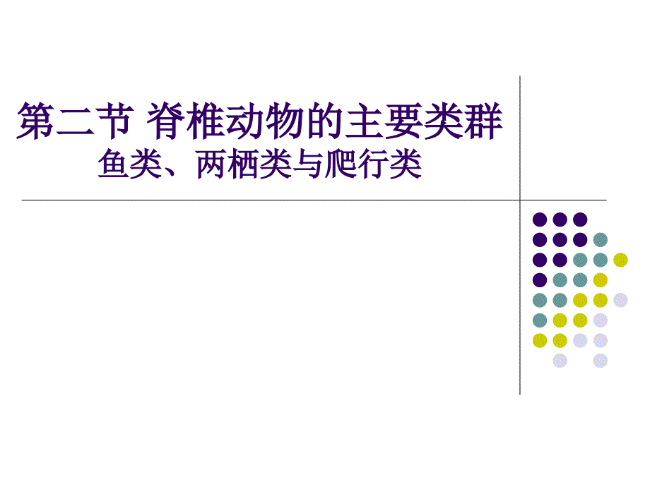 脊椎动物的主要类群1课件_第1页