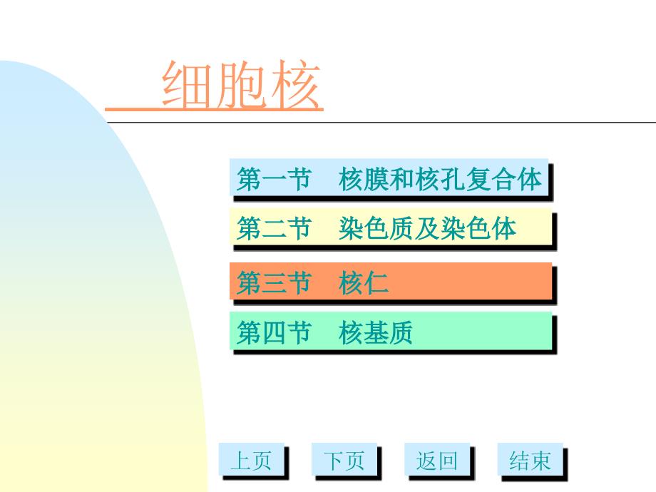 细胞核多媒体_第1页