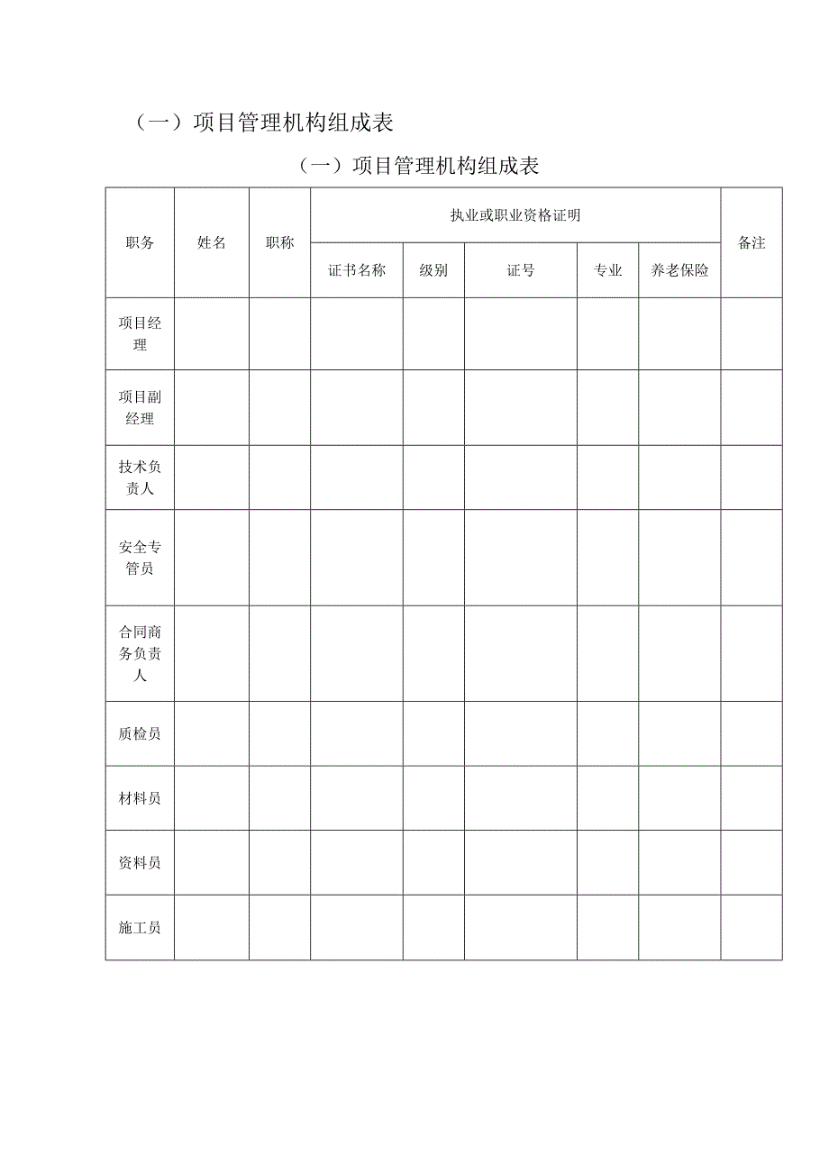 项目管理机构组成表_第1页