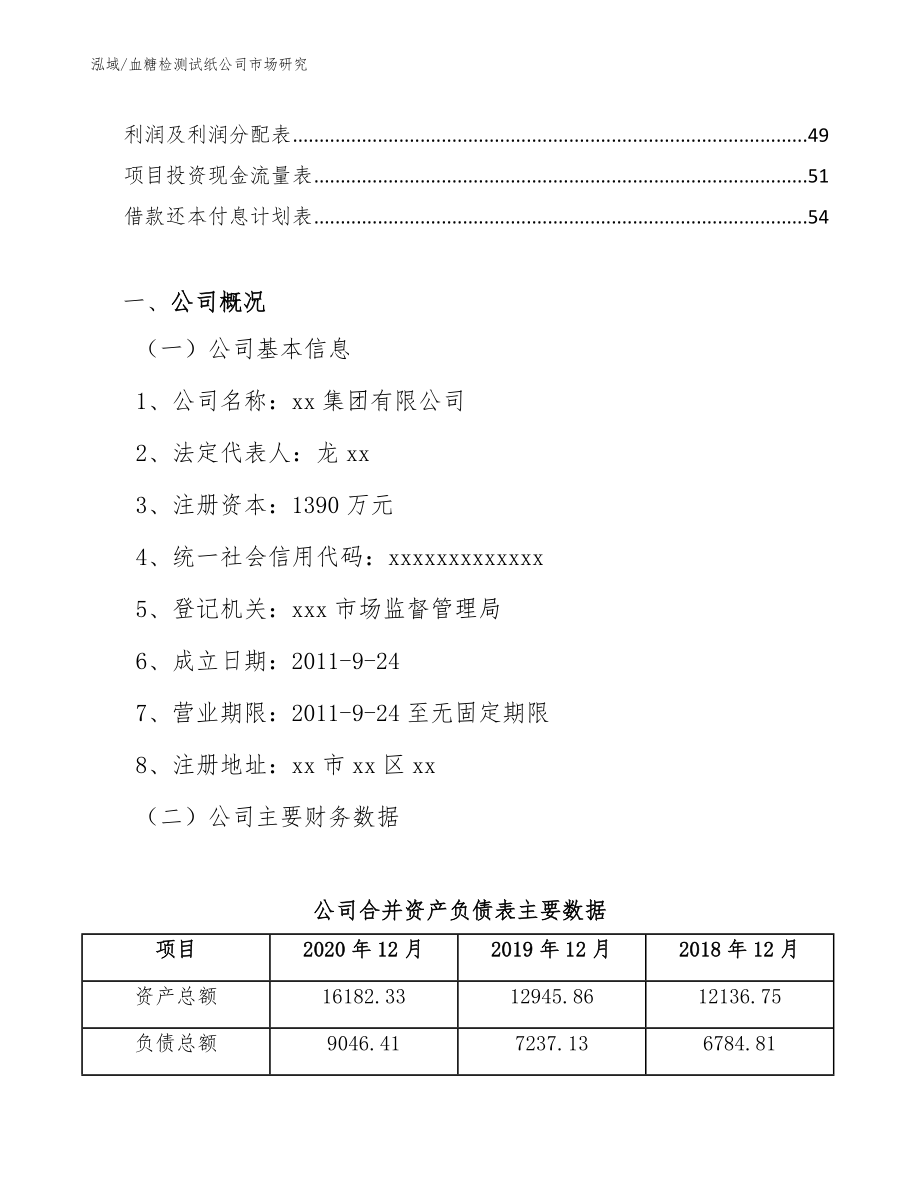 血糖检测试纸公司市场研究_第2页