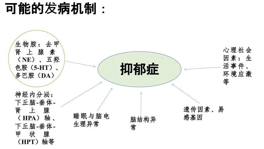 老年抑郁症患者的评估与干预_第5页