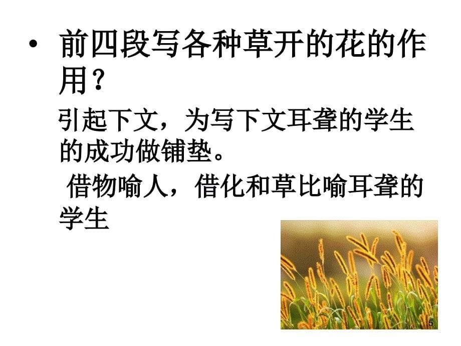 每一棵草都会开花_第5页