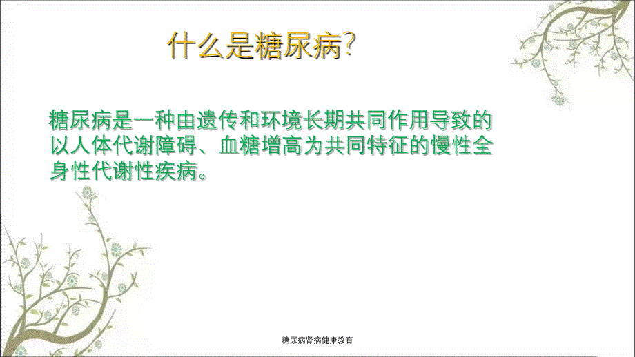 糖尿病肾病健康教育_第4页