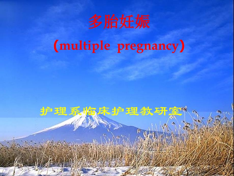 多胎妊娠.PPT文档_第1页