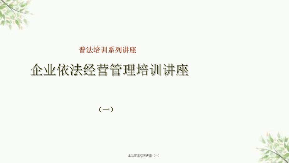 企业依法经营管理培训讲座课件_第1页