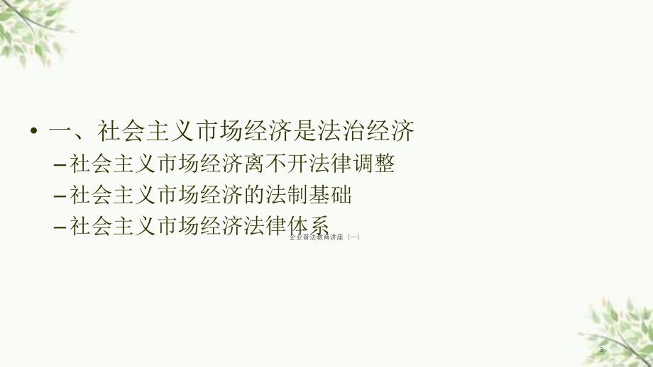 企业依法经营管理培训讲座课件_第3页