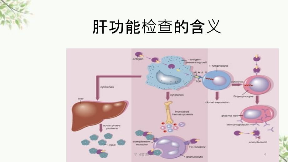 检验科讲课—生化ppt课件_第4页