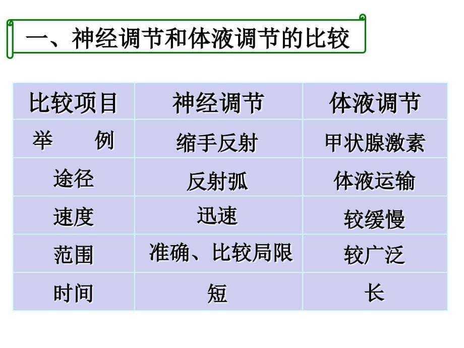 神经调节与体液调节的关系（学生自主阅读型）课件_第5页