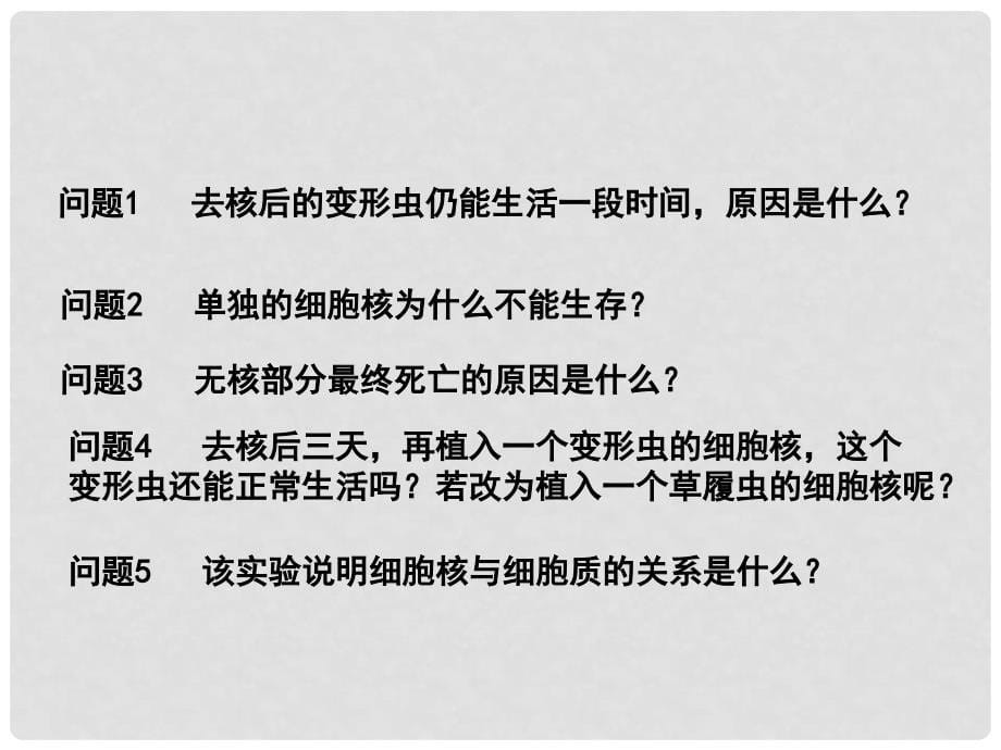 高三生物一轮备战 细胞核的结构和功能教学课件_第5页