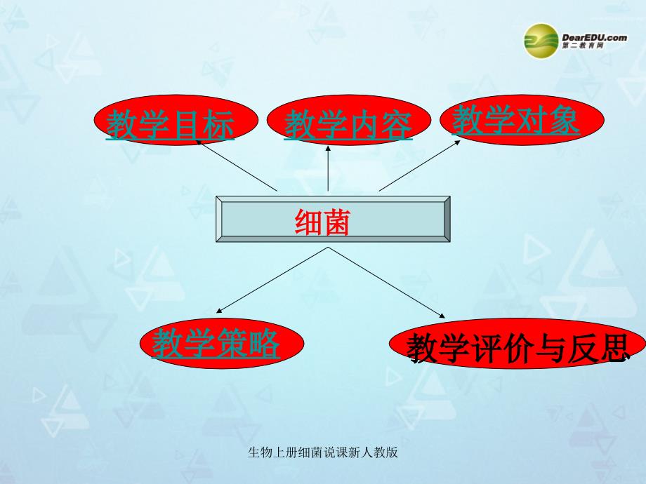 生物上册细菌说课新人教版课件_第2页