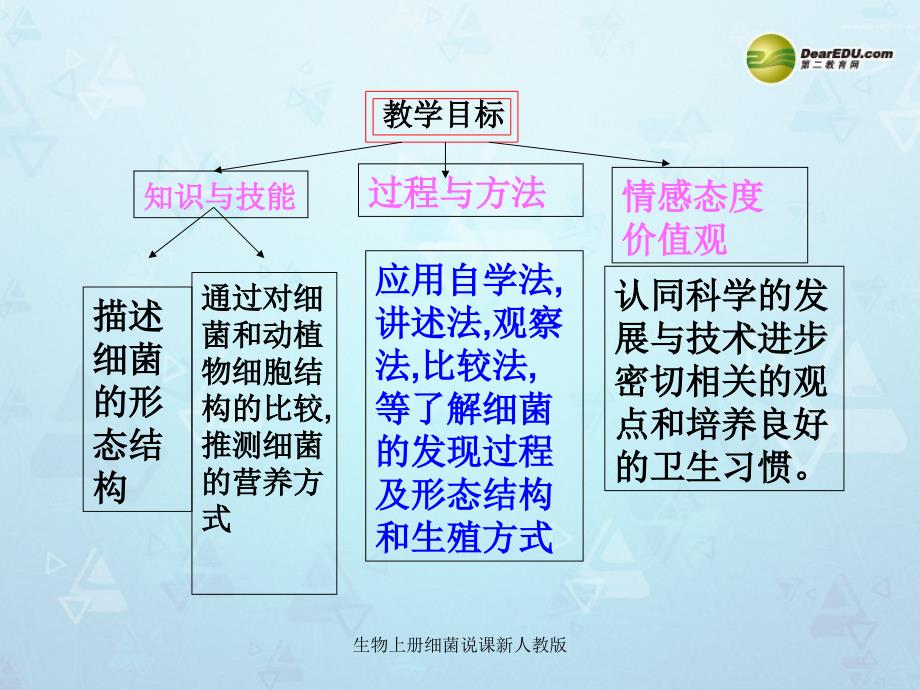 生物上册细菌说课新人教版课件_第3页