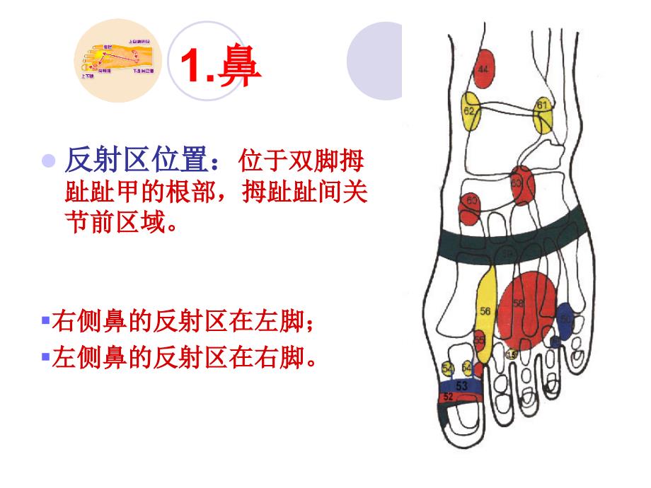 5.足背反射区_第2页