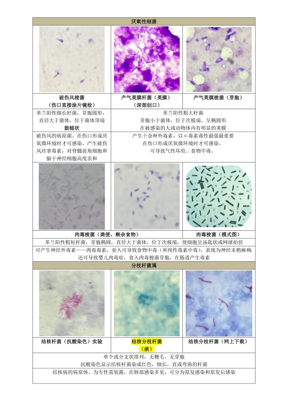 中南大学医学微生物实验复习_第3页