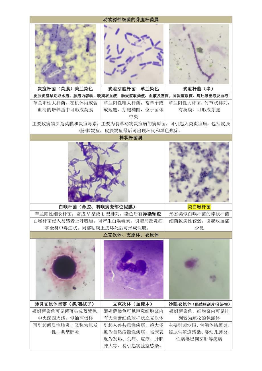 中南大学医学微生物实验复习_第4页