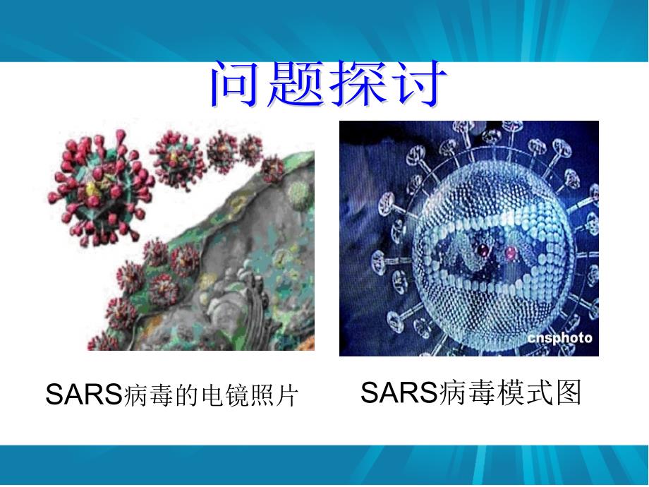 名师高中生物必修一—11从生物圈到细胞上课版课件.ppt_第4页