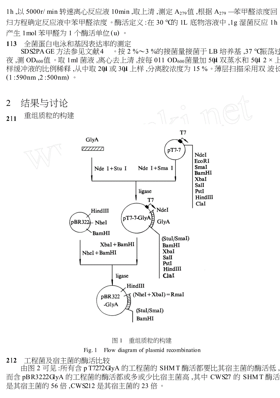 SHMT基因工程菌的构建及高效表达_第2页