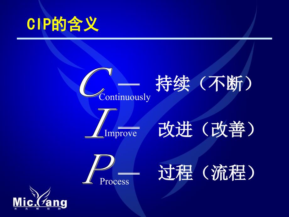 CIP-持续改善-学习资料.ppt_第2页