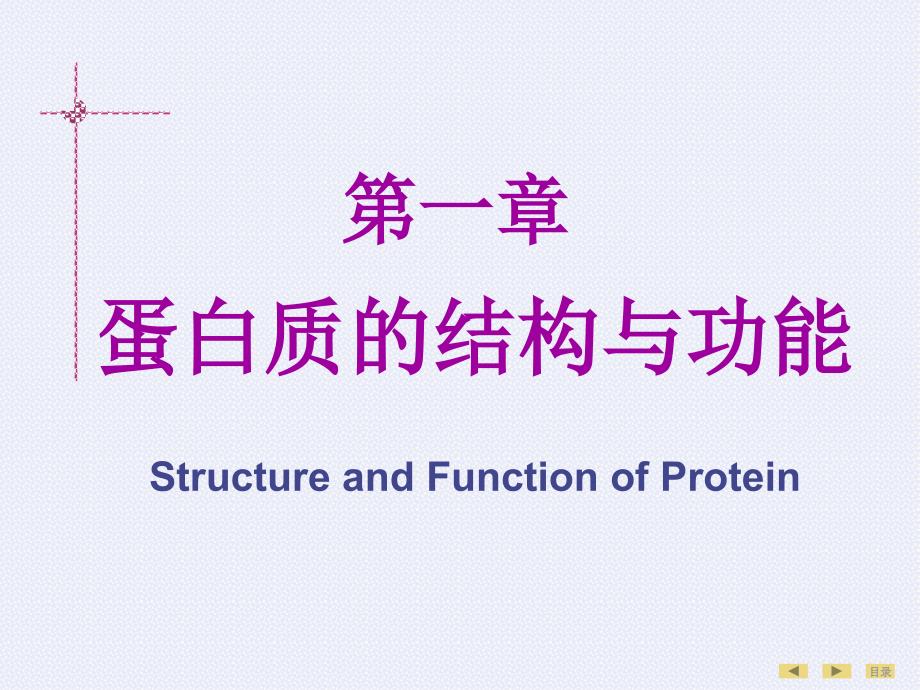 生物化学 第01章 蛋白质的结构与功能 临床5年制 第7版_第2页