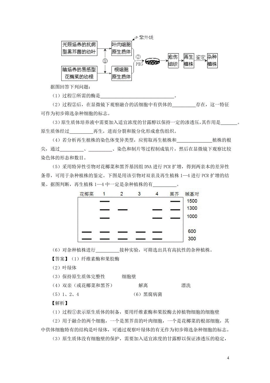 细胞工程高考题_第4页