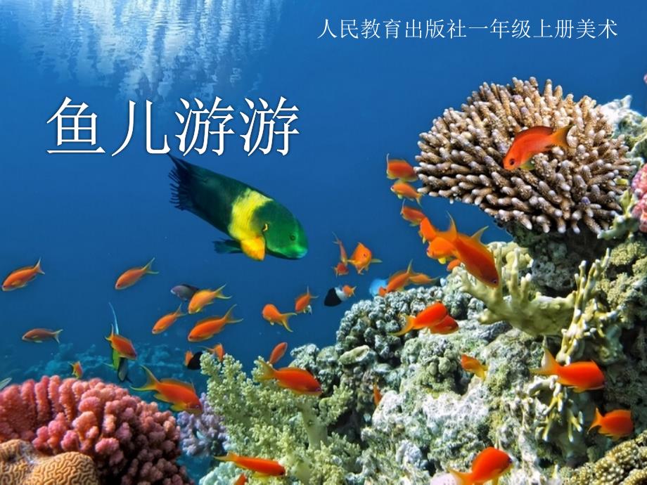 人教版一年级美术上册《鱼儿游游》_第1页