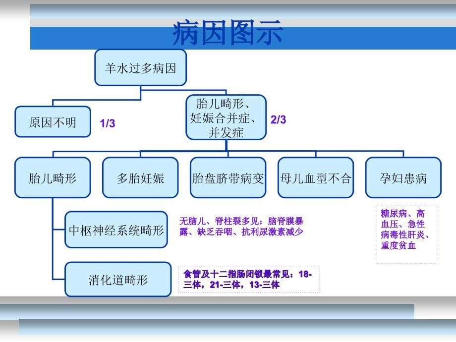 羊水过多过少1_第5页