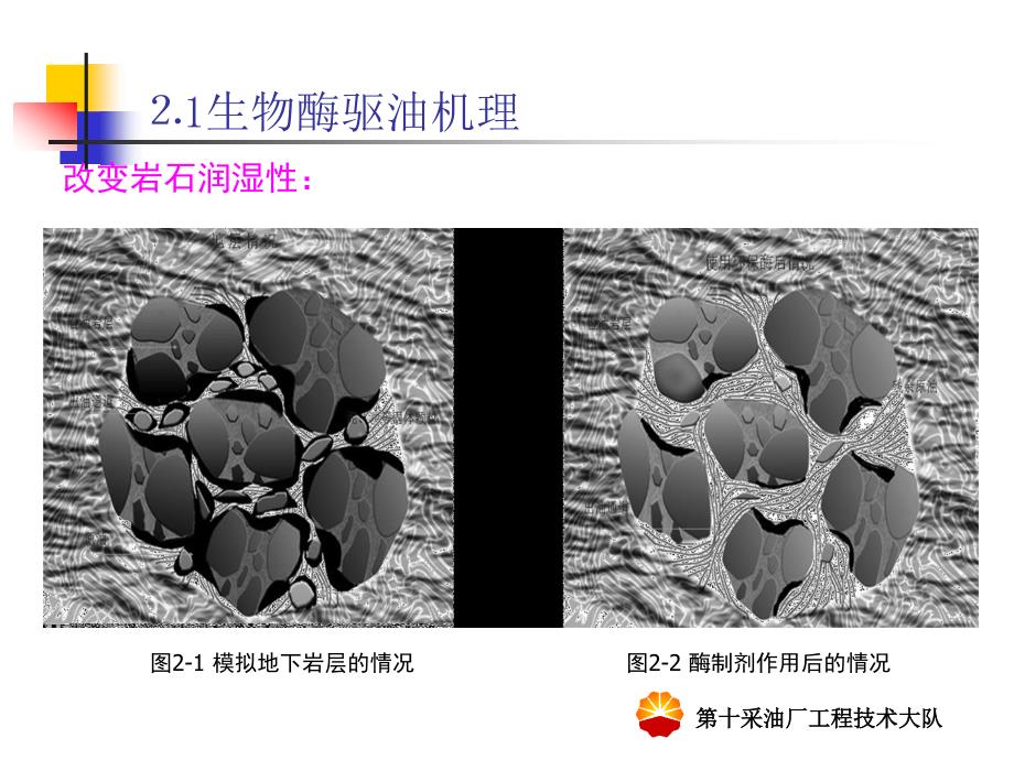 生物酶驱提高采收率技术试验研究_第4页