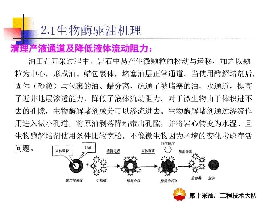 生物酶驱提高采收率技术试验研究_第5页