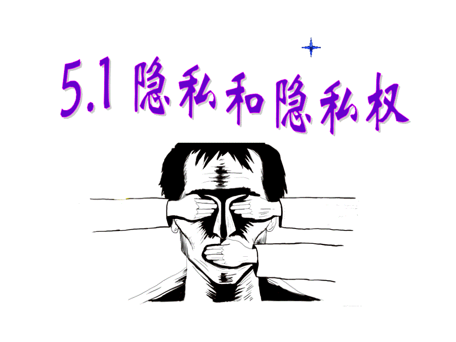 51隐私和隐私权_第4页