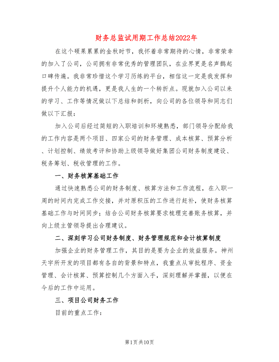 财务总监试用期工作总结2022年_第1页