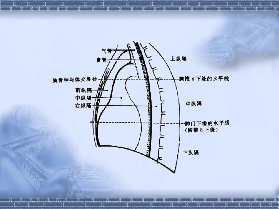 纵隔淋巴结CT片图解课件_第2页