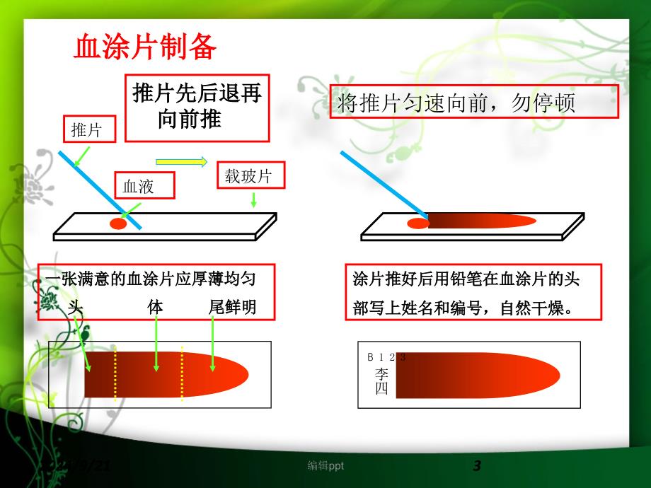 实验三血涂片的制备染色分类计数_第3页