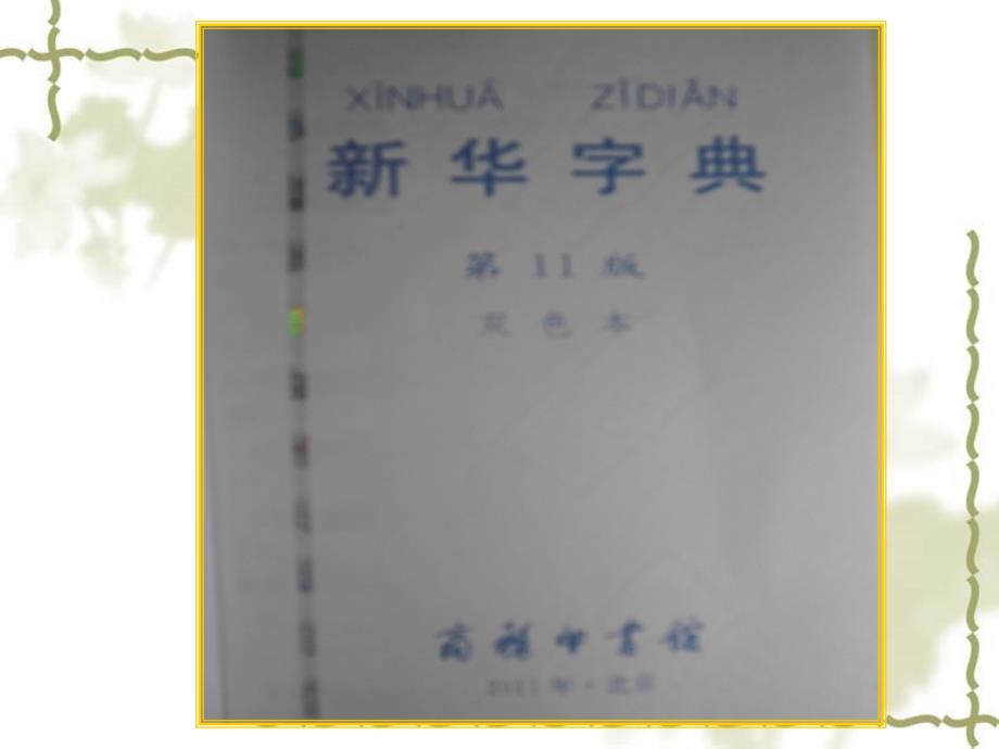 苏教版小学语文二年级上册练习3查字典_第4页