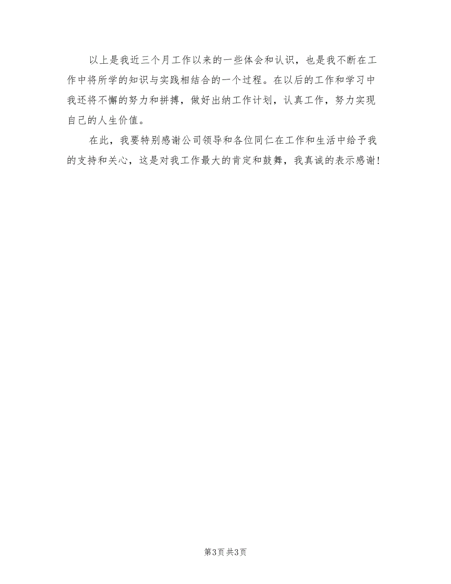 2022年出纳三个月试用期工作总结范本_第3页